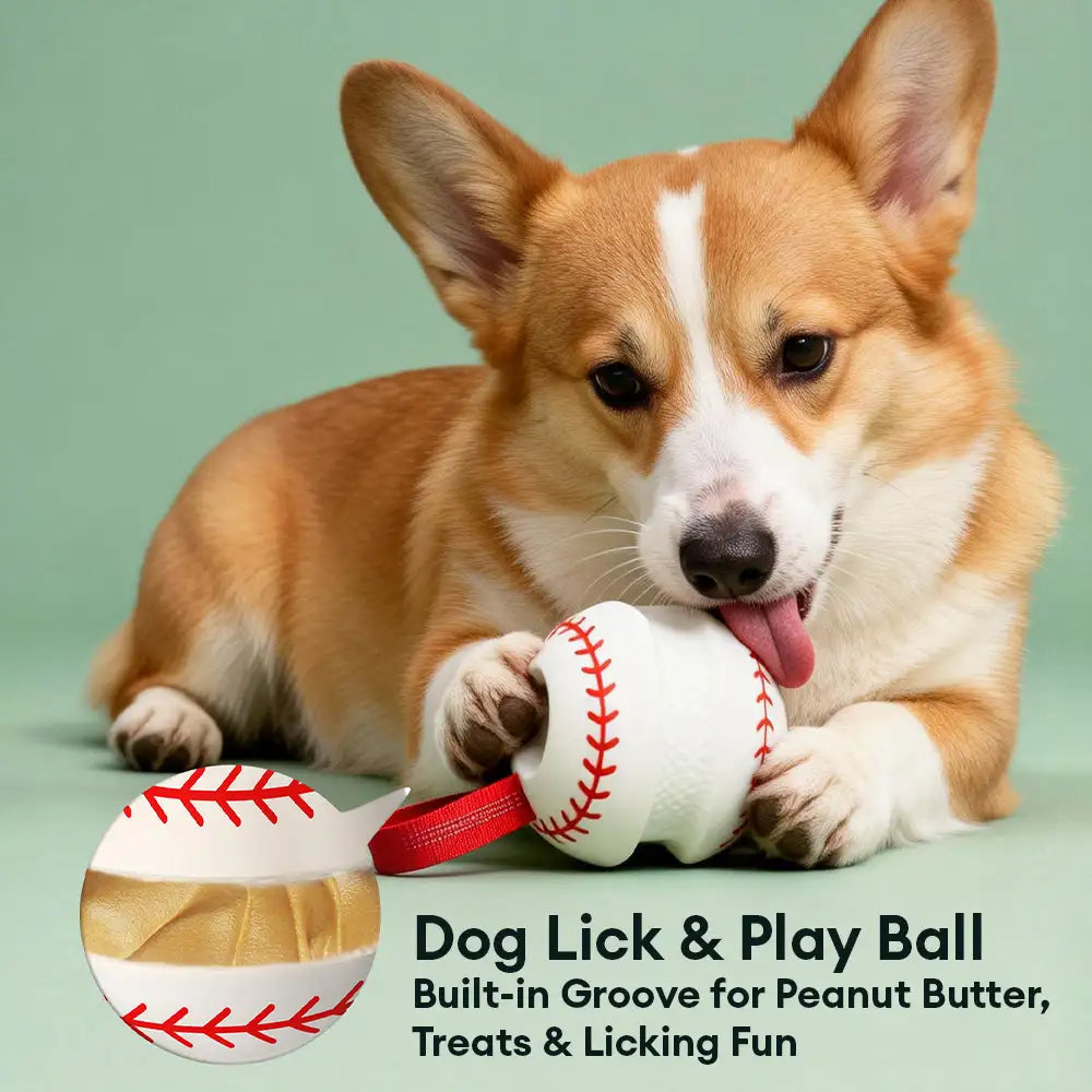 Zahnen & Spielen Elastisches Interaktives Hundekauspielzeug