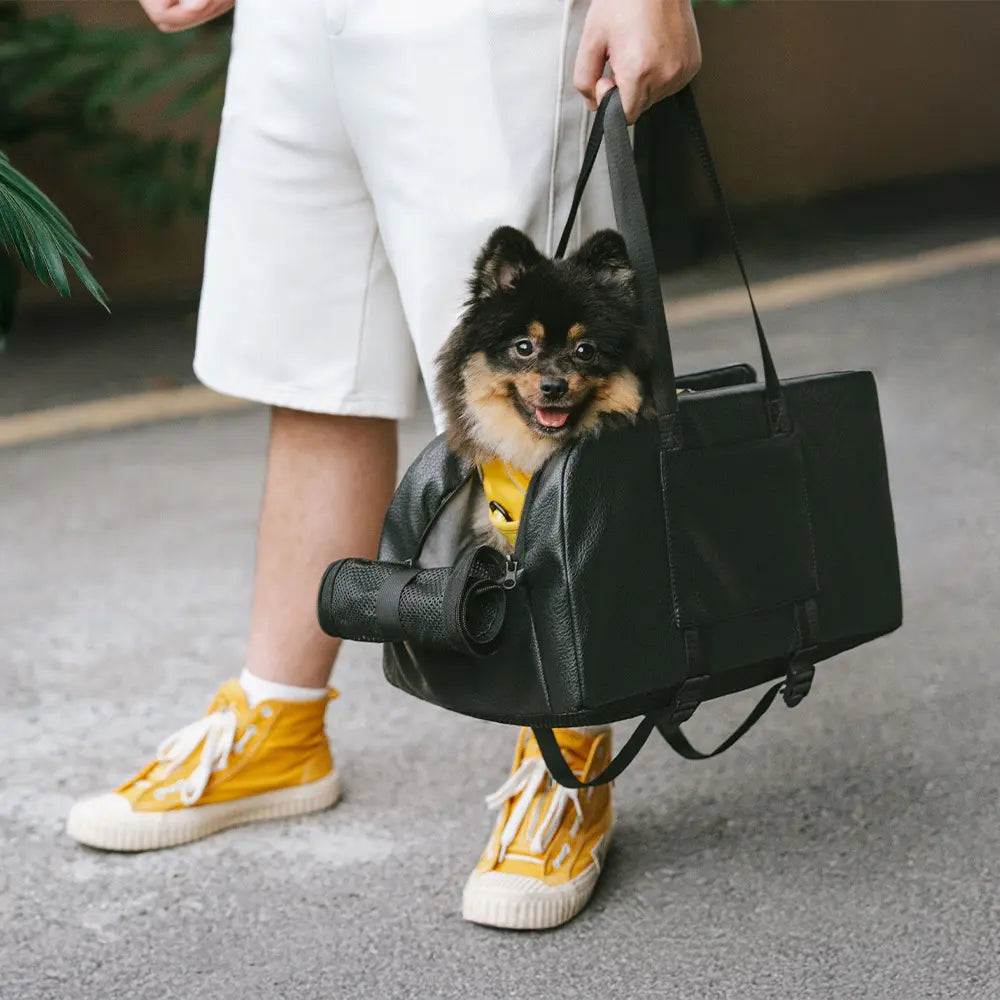 Erhöhter abnehmbarer Autositz für kleine Hunde Sichere Reise auf der Mittelkonsole