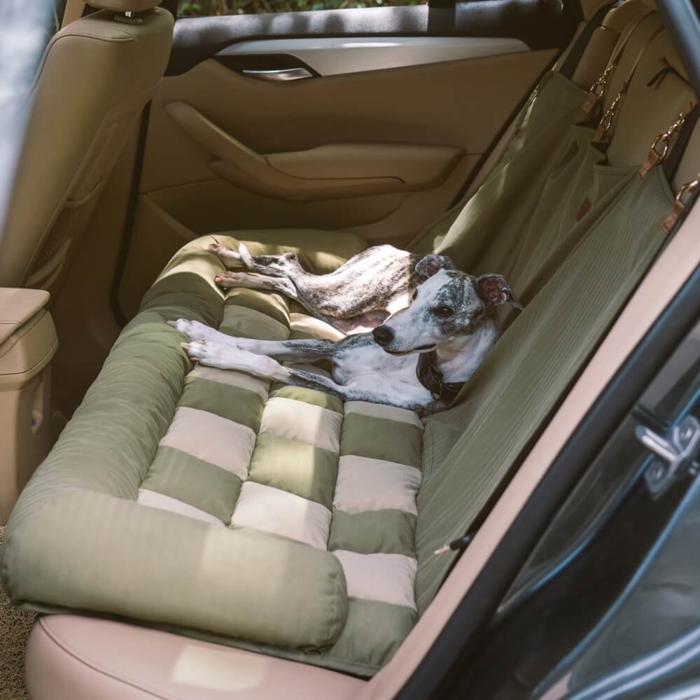 Reise Rückenkissen Sicherheit Rücksitz großes Hund Auto Sitzbett - Roadtrip