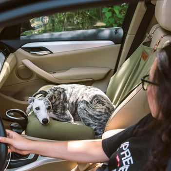 Reise-Sicherheitshörnchen Rücksitz Einzelplatz großes Hundecar-Sitzbett – Schachbrett-Lounge