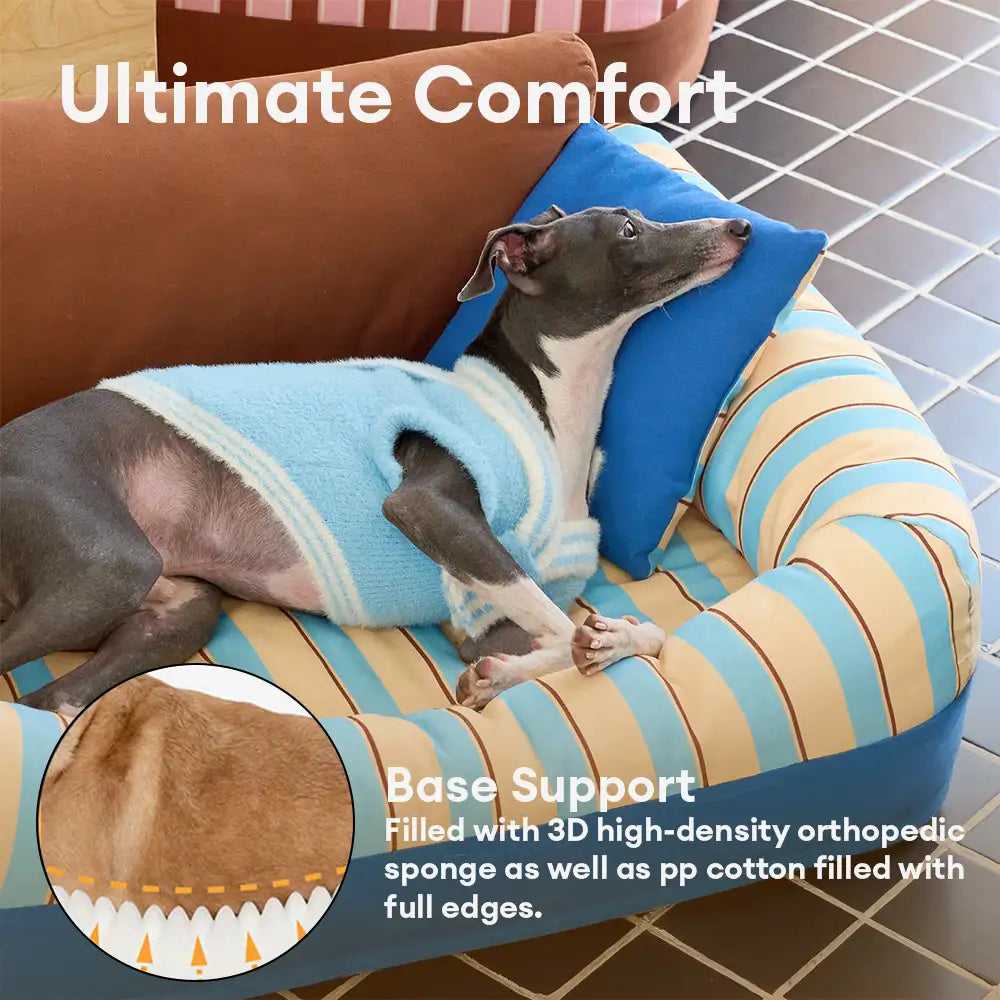 Trendige gestreifte gemütliche orthopädische Hundesofa-Bett - Bequeme Couch