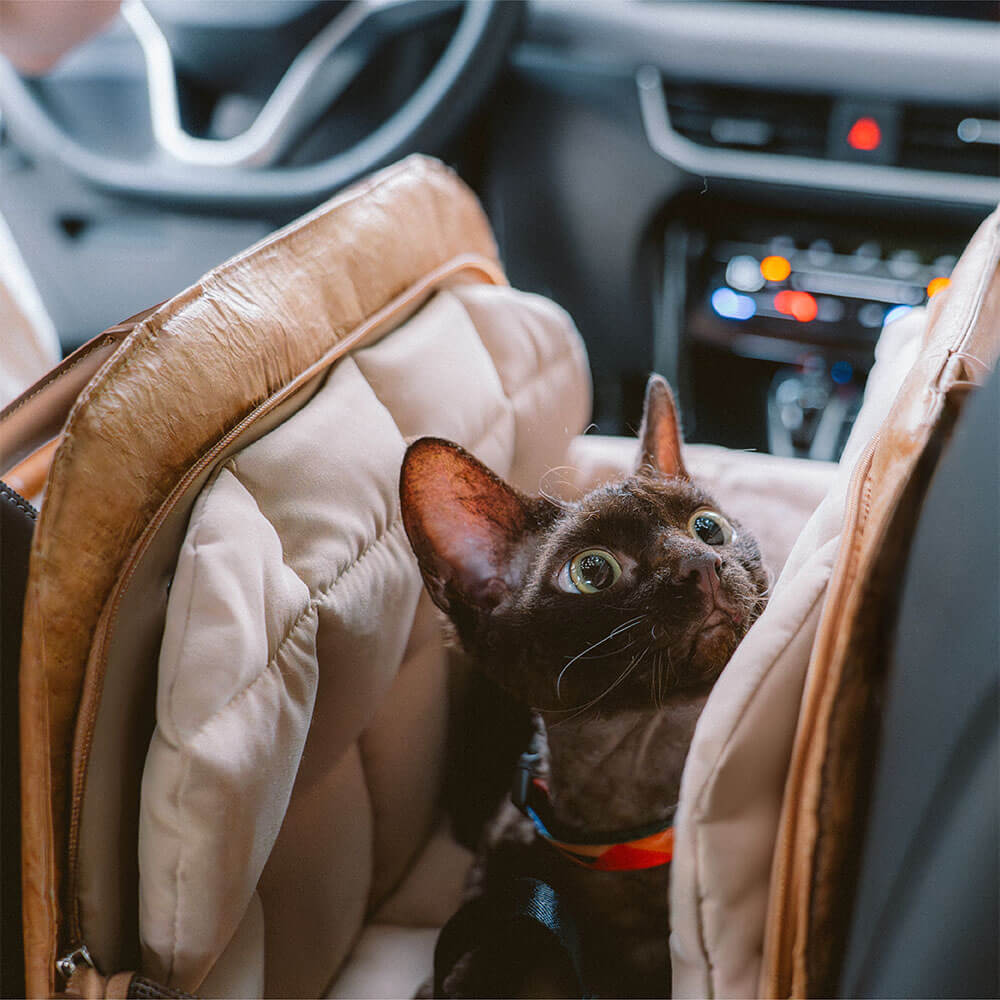 Vogue umweltfreundliche multifunktionale Katzenreisetasche - Stadtentdecker