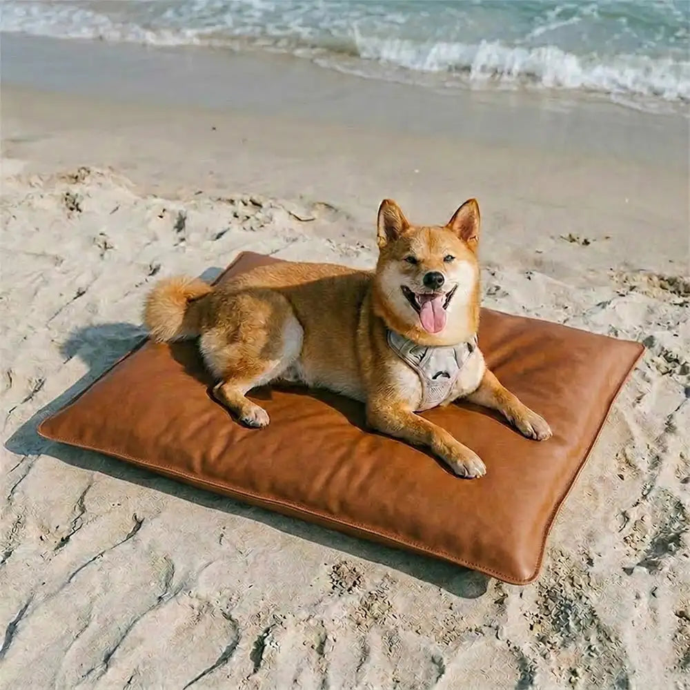 Wasserabweisende, kratzfeste doppelseitige waschbare Hundematte