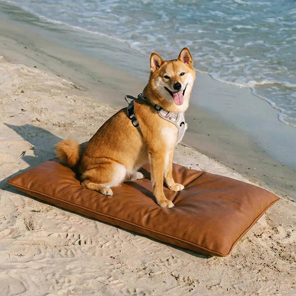 Wasserabweisende, kratzfeste doppelseitige waschbare Hundematte