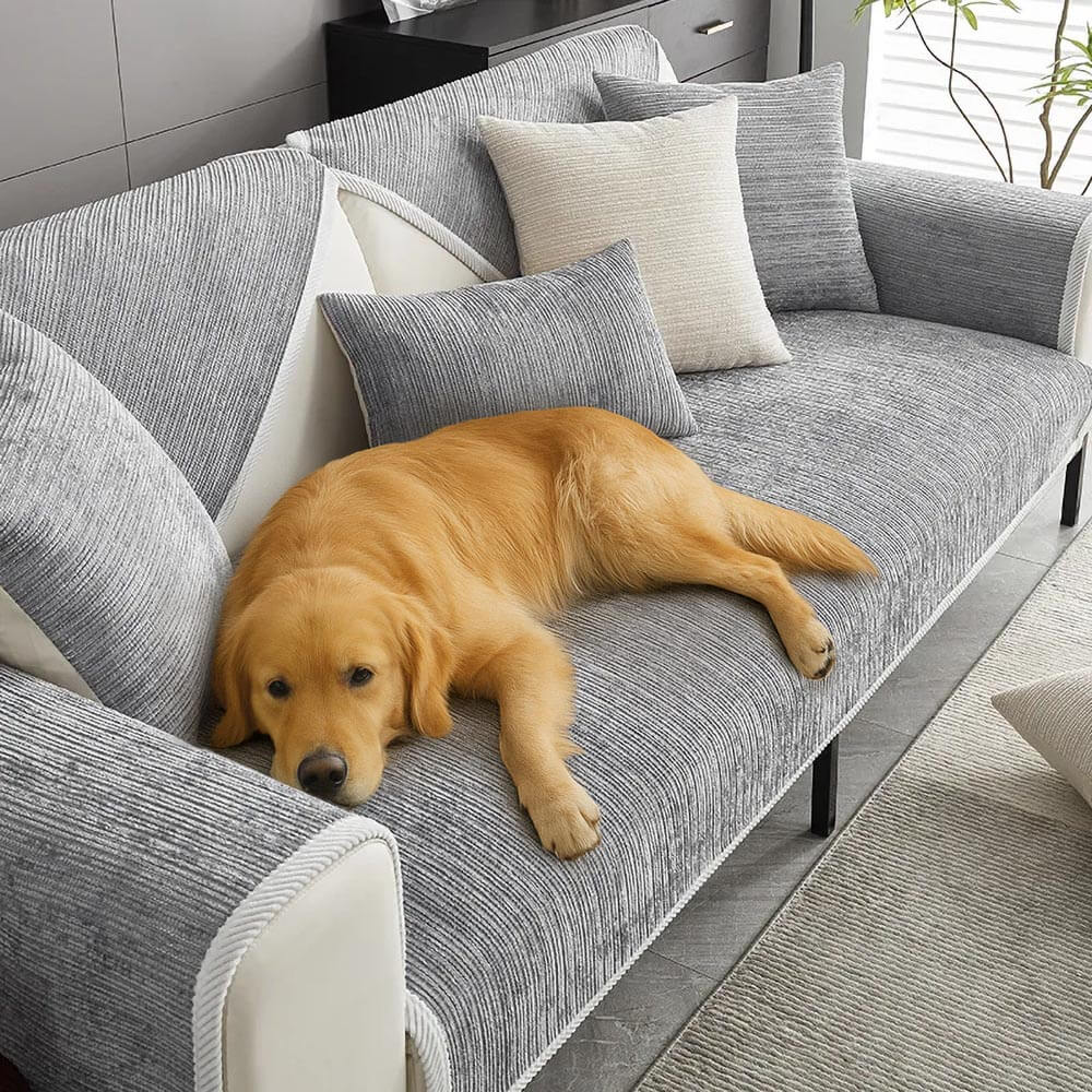 Wasserfeste antimikrobielle einfache Chenille-Stoff Anti-Kratz Sofa-Bezüge