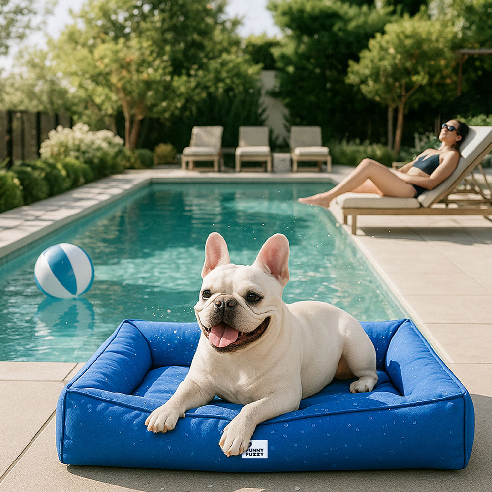 Vollständig Orthopädisches Wasserdichtes Hundebett mit Rundum-Unterstützung für Große Hunde