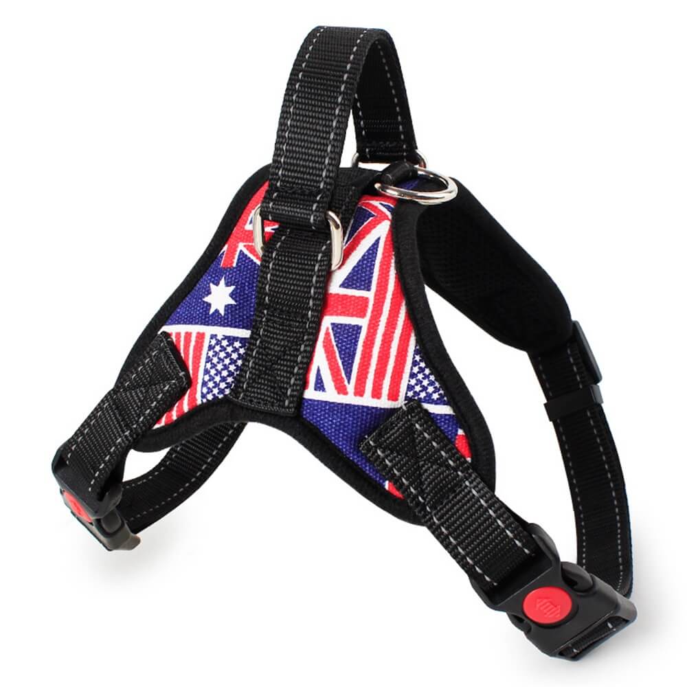 Union Jack Hundegeschirr mit Zugseil – Stilvolles und funktionelles Spaziergeschirr