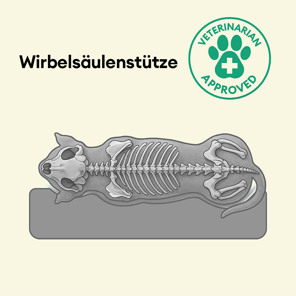 Vollständig Orthopädisches Wasserabweisendes Hundebett mit Rundum-Unterstützung für Große Hunde