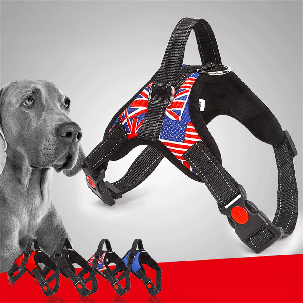 Union Jack Hundegeschirr mit Zugseil – Stilvolles und funktionelles Spaziergeschirr