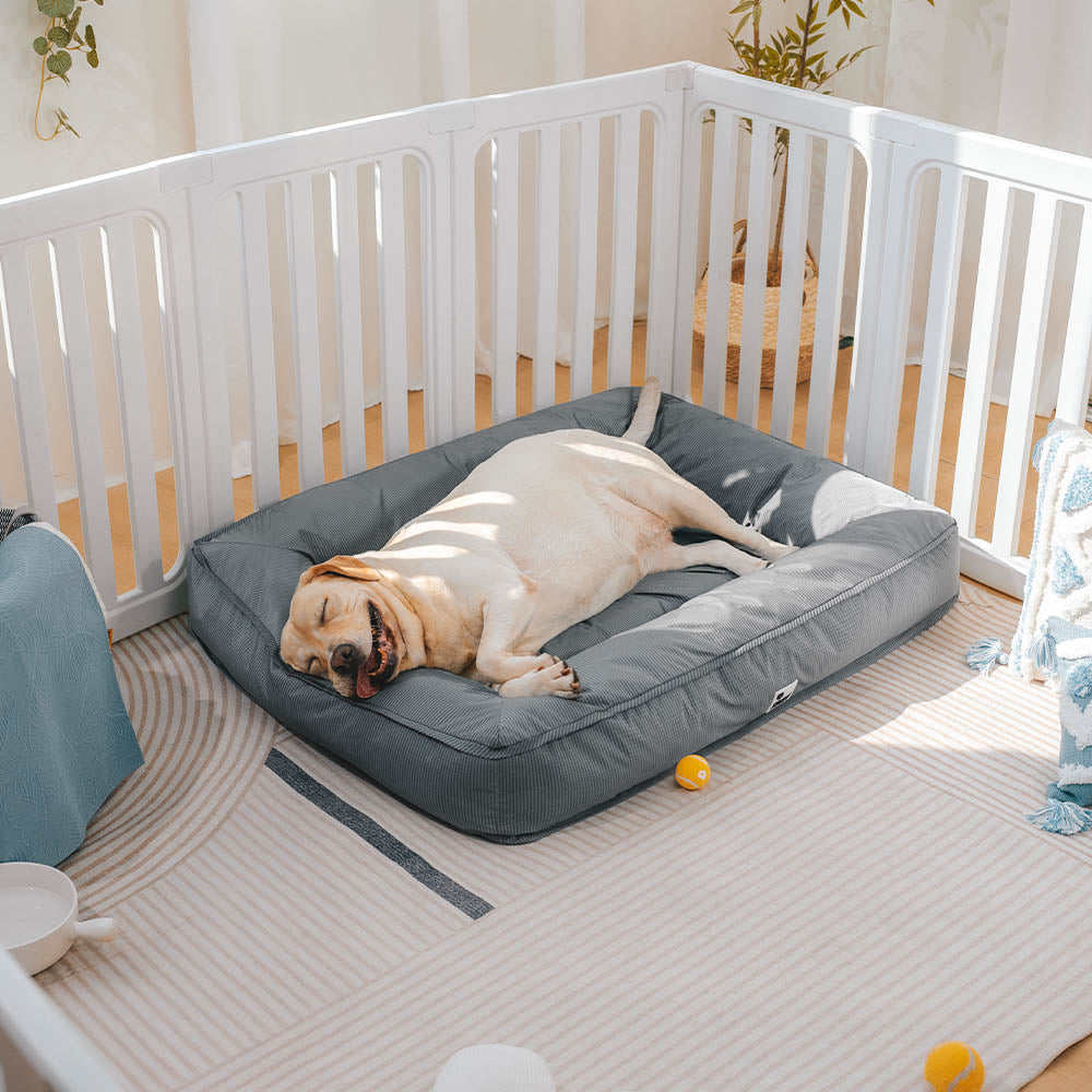 Vollständig Orthopädisches Wasserdichtes Hundebett mit Rundum-Unterstützung für Große Hunde