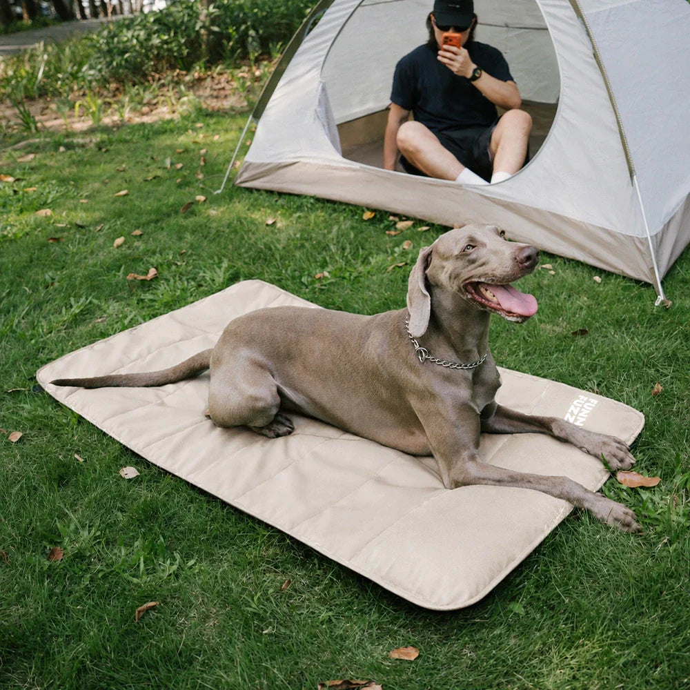Transportable wasserdichte Hundematte - Urbanes Umherstreifen