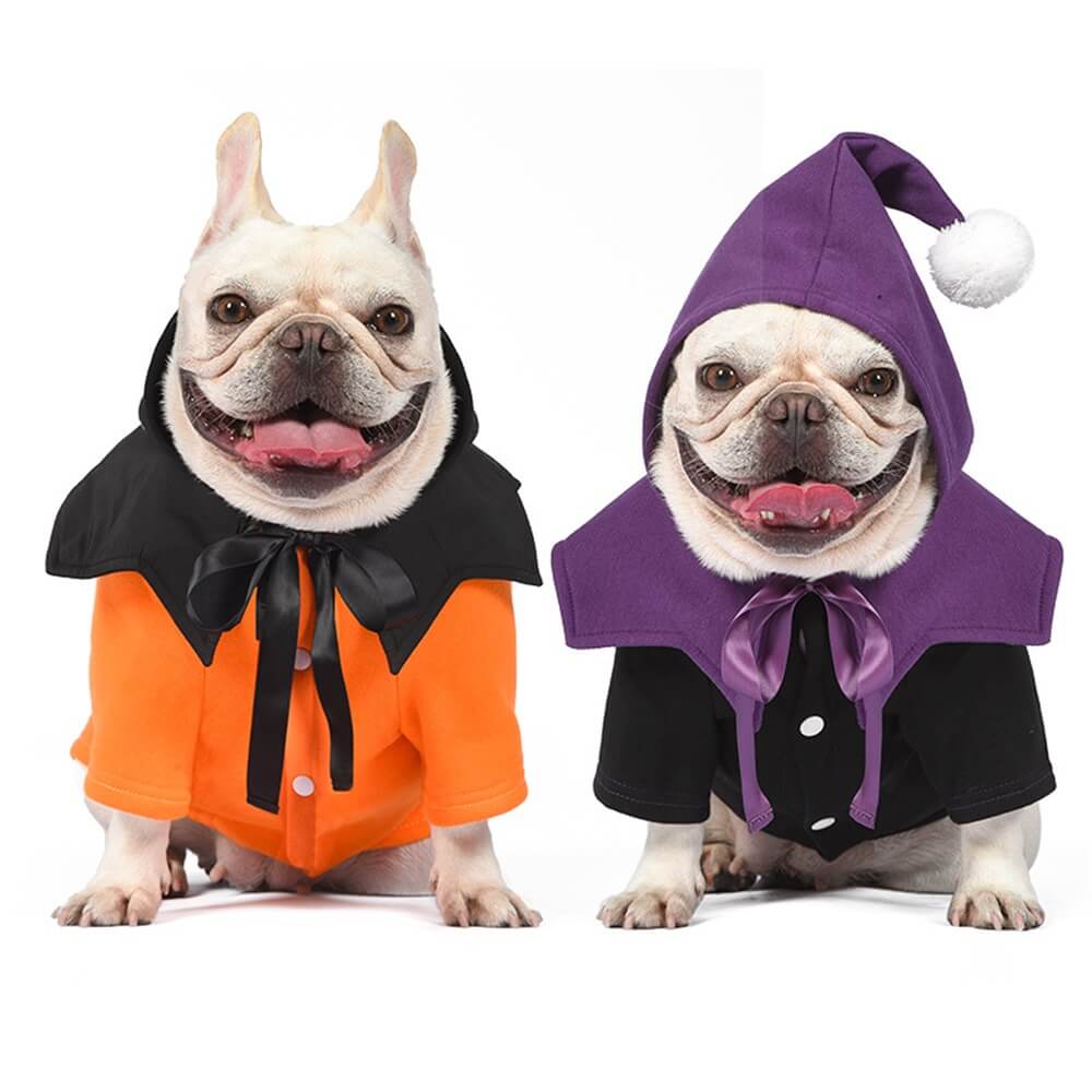 Lustiger zweiteiliger Pullover und Schal mit Halloween-Kürbis für Hunde