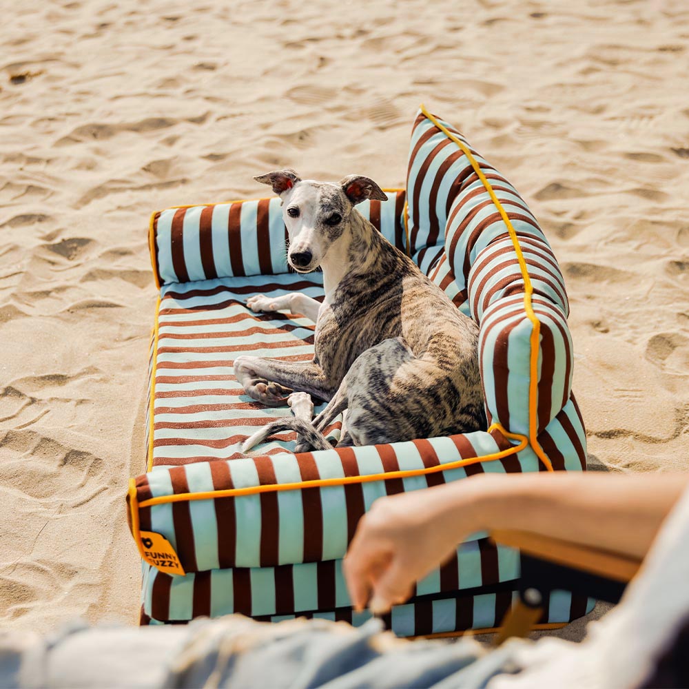 Modisches Gestreiftes Wasserabweisendes Faltbares Hundesofabett - Sunny Siesta