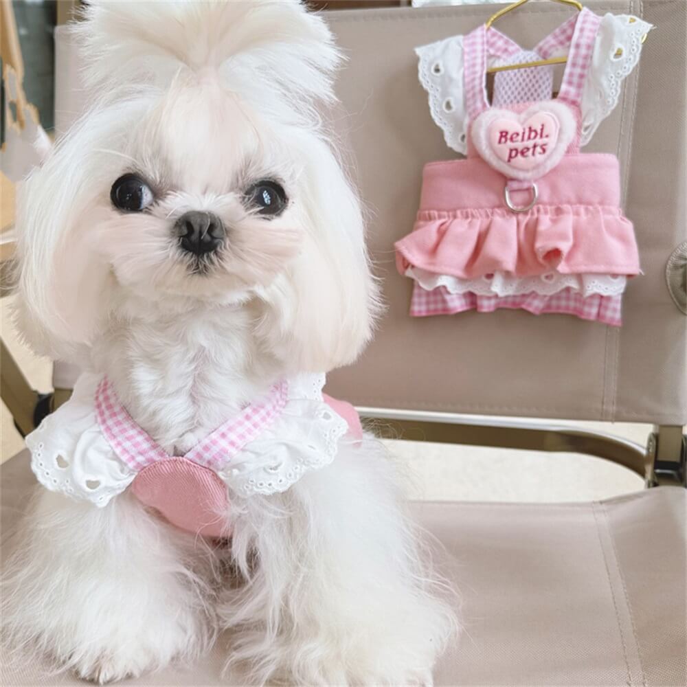 Rosa Gingham-Rüschen-Hundekleid – süß und stylisch für den Alltag