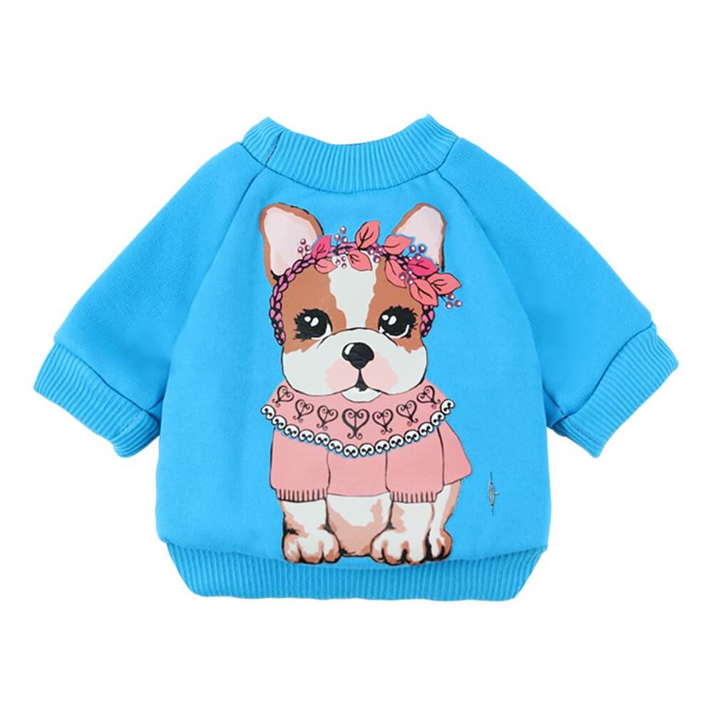 Bequemes und stylisches Hunde-Sweatshirt – perfekt für Spaziergänge zu jeder Jahreszeit