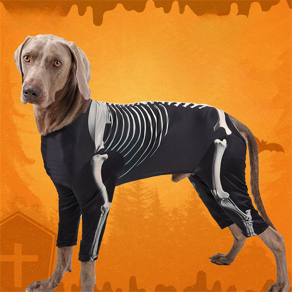 Elastisches Skelett-Halloweenkostüm für Große Hunde