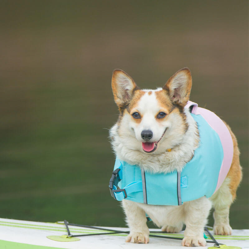 Verstellbare Schwimmweste Hundegeschirr Hundeschwimmweste