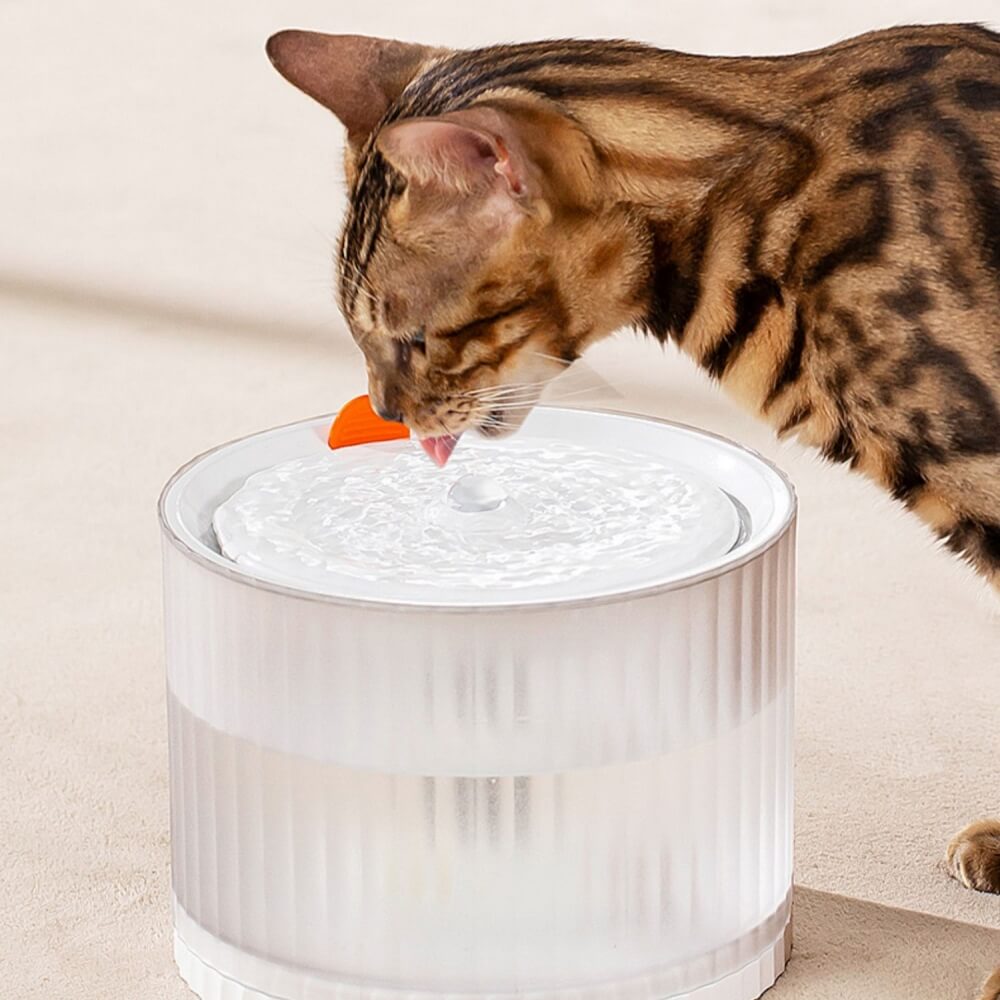 Auslaufsicherer, automatischer Wasserspender für Haustiere