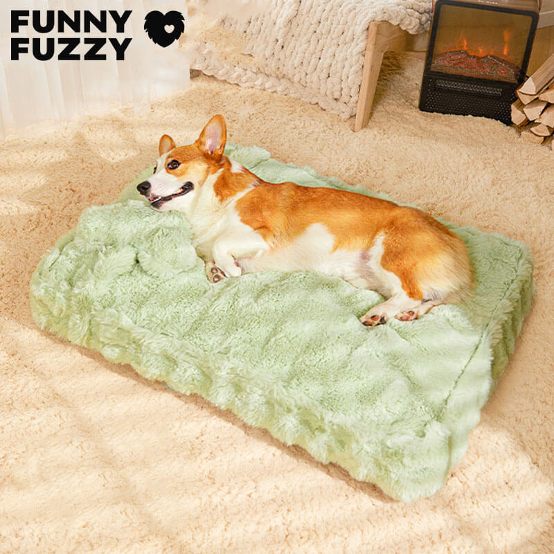 Cozy Fluffy Plush Calming Dog Bed with Pillow