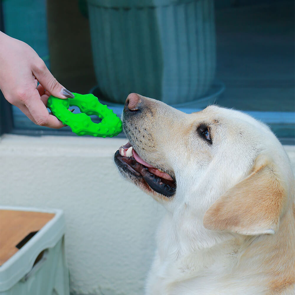 Interaktives Quietschspielzeug für Hunde Beißspielzeug Kauspielzeug