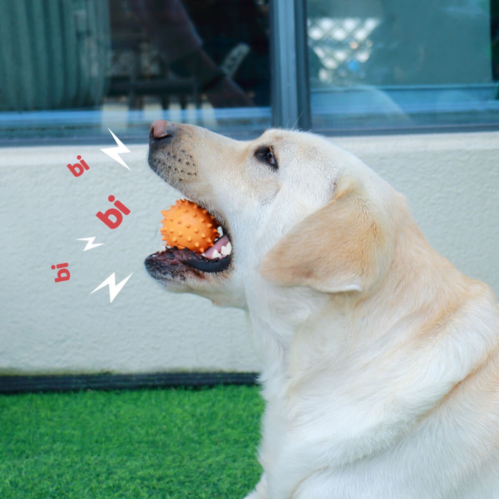 Interaktives Quietschspielzeug für Hunde Beißspielzeug Kauspielzeug