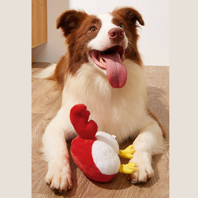 Lustiges Plüsch-Quietschspielzeug für Hunde – Hintern