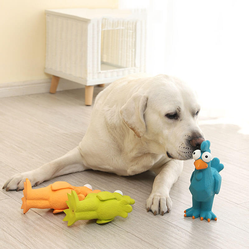 Jouet à mâcher pour chien, coq drôle, émulsion grinçante