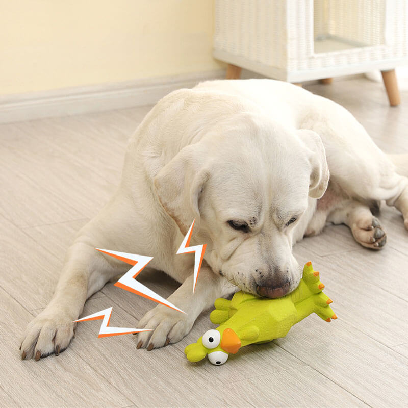 Jouet à mâcher pour chien, coq drôle, émulsion grinçante