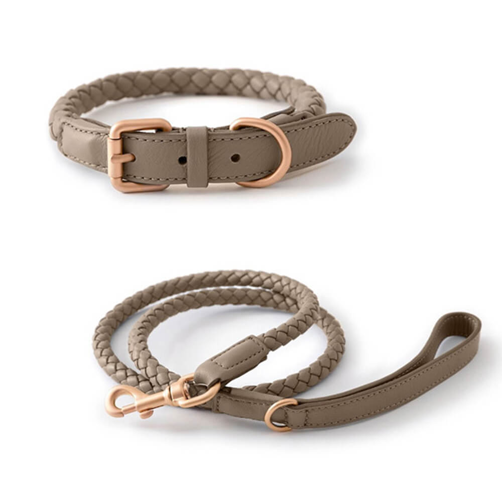 Hand-Woven Faux Leather Puppy Collar and Leash Dog Walking Set