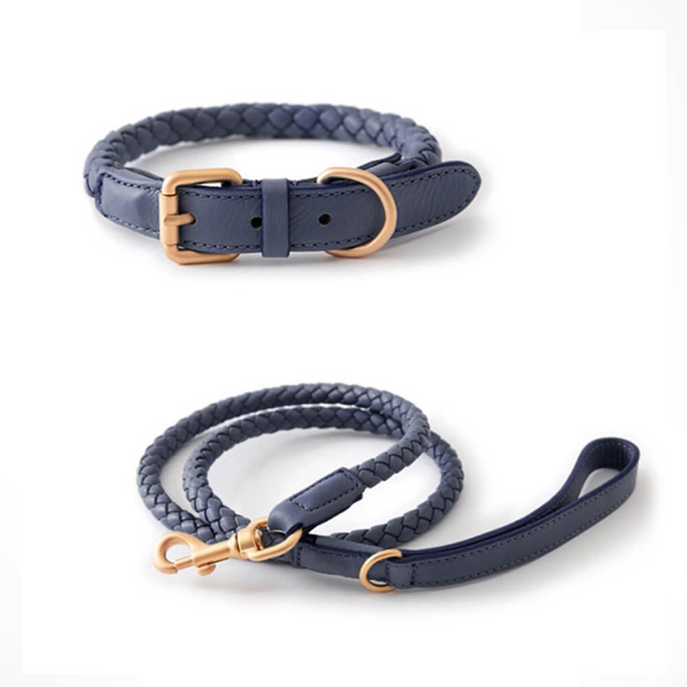 Hand-Woven Faux Leather Puppy Collar and Leash Dog Walking Set