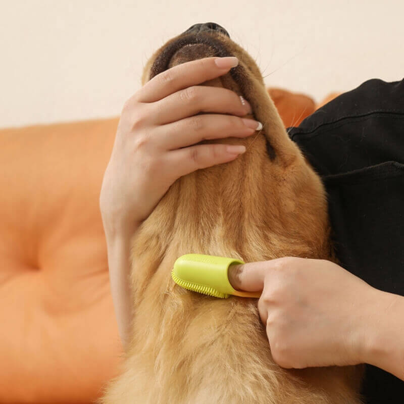 Haustierzahnbürste Fingerzahnbürste zur Zahnreinigung