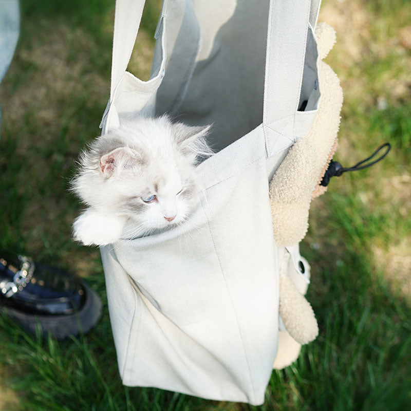 Sac de transport pour animaux de compagnie de créateur de voyage respirant et portable