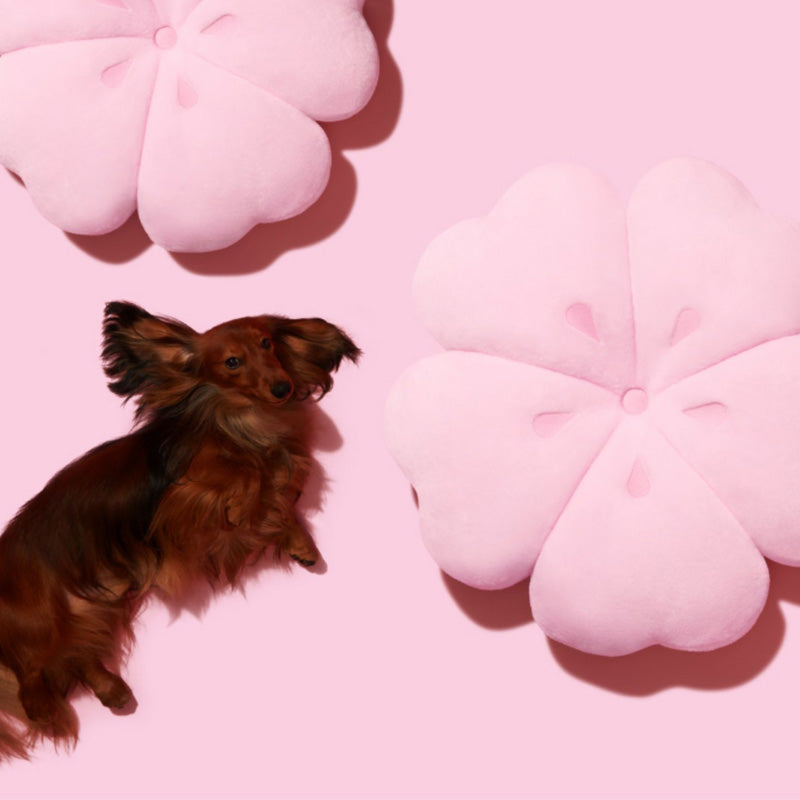 Tapis doux pour animaux de compagnie série Sakura