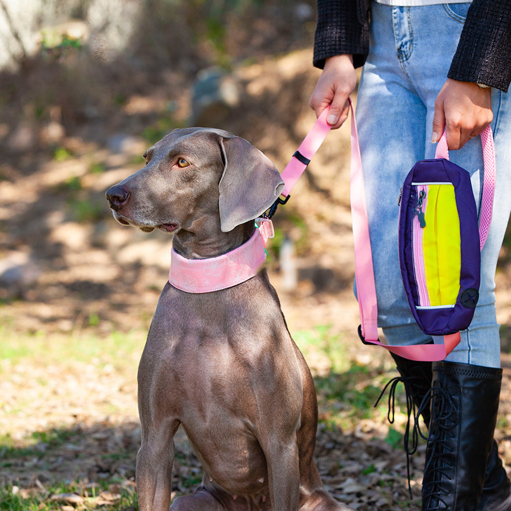 Stilvolles, bequemes, nicht ziehendes, cooles Hundezubehör-Halsband