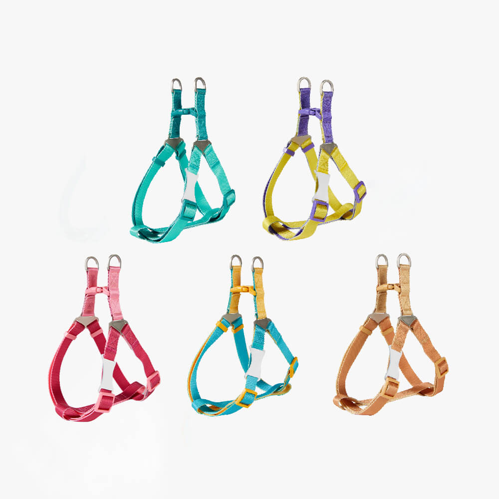 Trendy Color-Block verstellbares ergonomisches Hundegeschirr und Leine