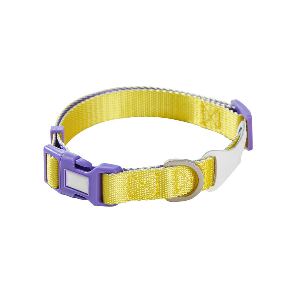 Trendy Color-Block verstellbares ergonomisches Hundegeschirr und Leine