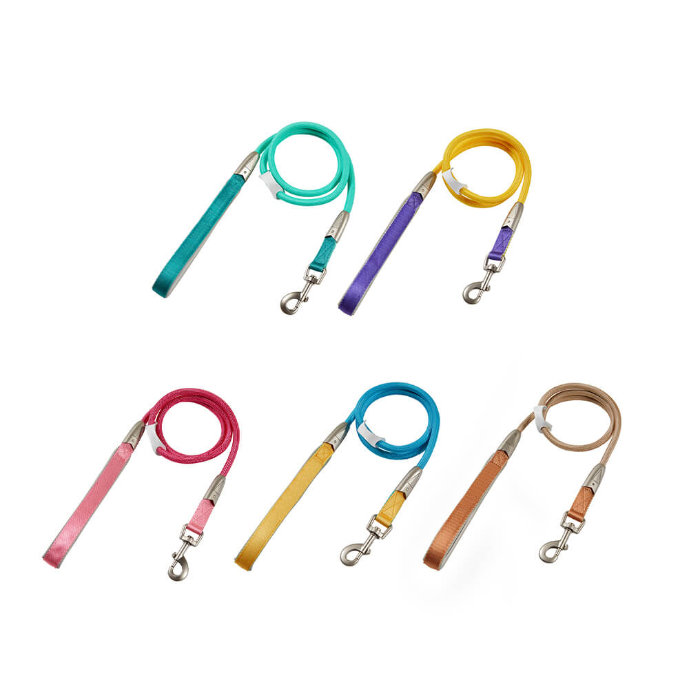 Trendy Color-Block verstellbares ergonomisches Hundegeschirr und Leine