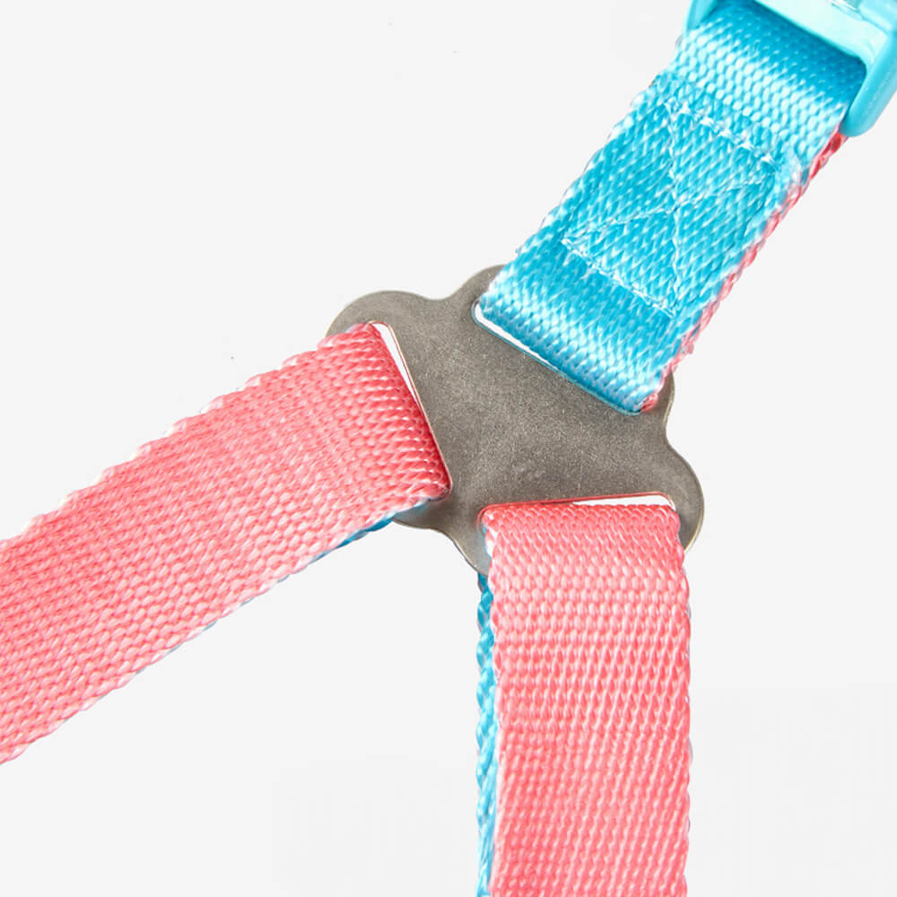 Trendy Color-Block verstellbares ergonomisches Hundegeschirr und Leine