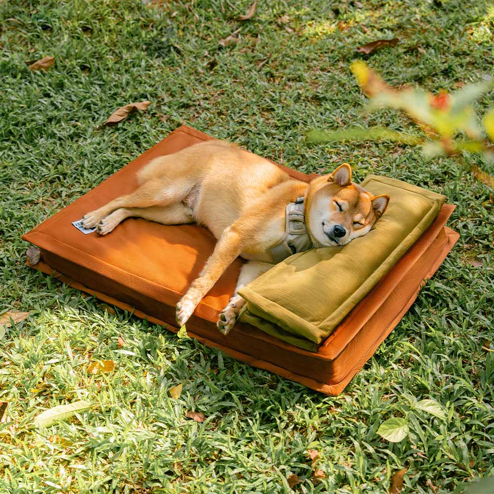 Anti-Angst mit Schwammunterstützung Tiefschlafendes Hundebett
