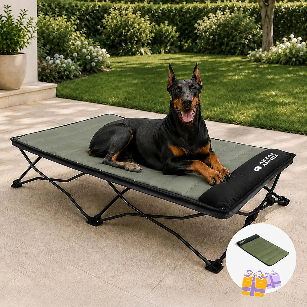 Klappbares erhöhtes Hundebett mit wasserdichter Matte - Urban Roaming