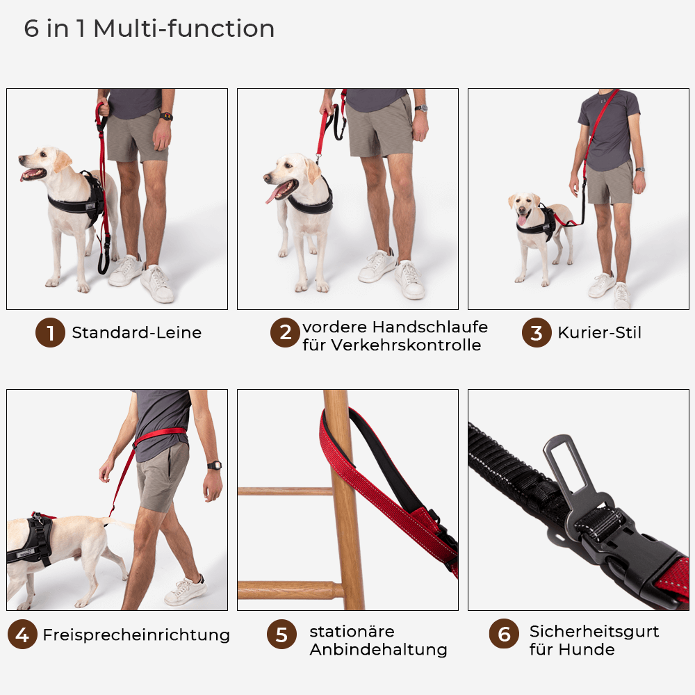 Sport-Hunde-Walk-Set | Multifunktionale freihändige Hundeleine und No-Pull-Hundegeschirr