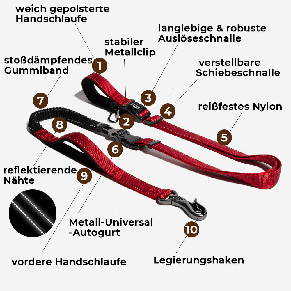 Sport-Hunde-Walk-Set | Multifunktionale freihändige Hundeleine und No-Pull-Hundegeschirr