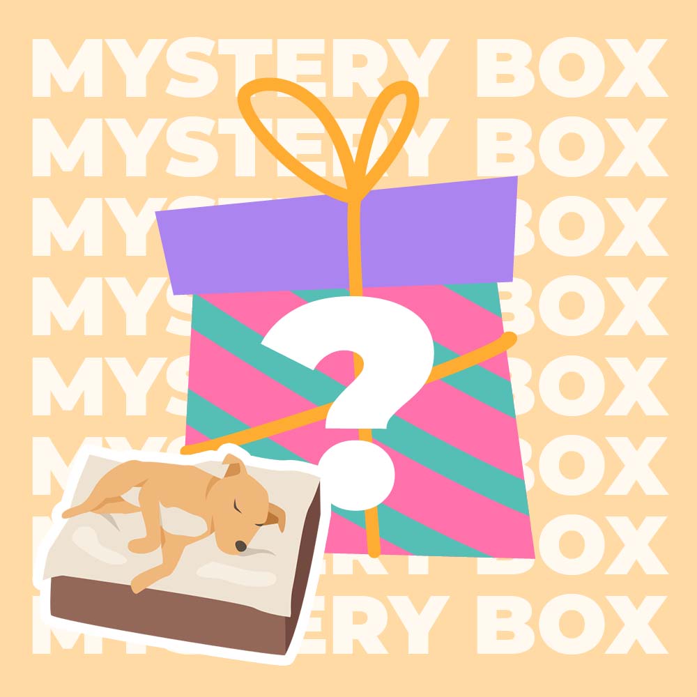 Mystery Box - Premium Haustiermatte - Zufällig - 1 Stück