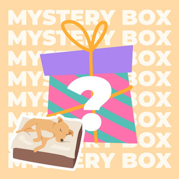 Mystery Box - Premium Haustiermatte - Zufällig - 1 Stück