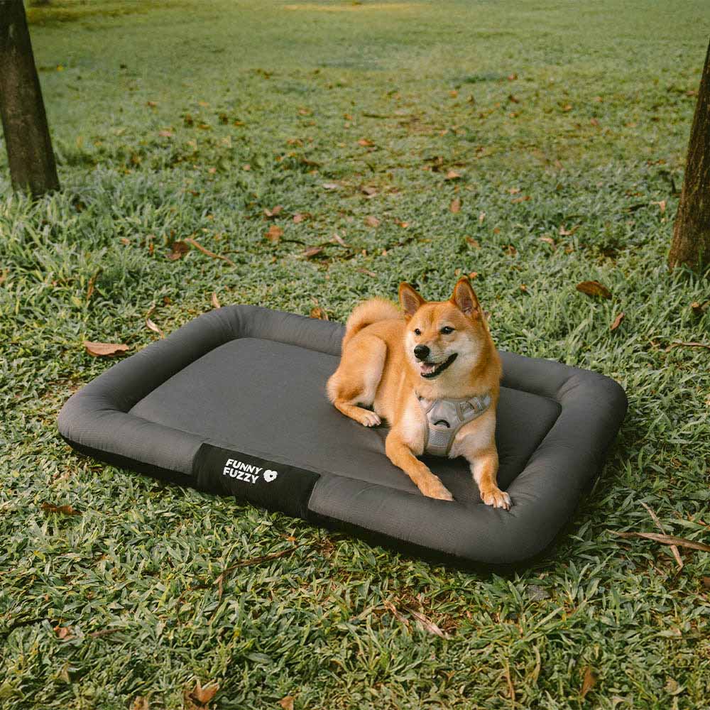 Wasserfestes und bissfestes Memory-Schaum-Orthopädisches Hundematte für die Hundebox