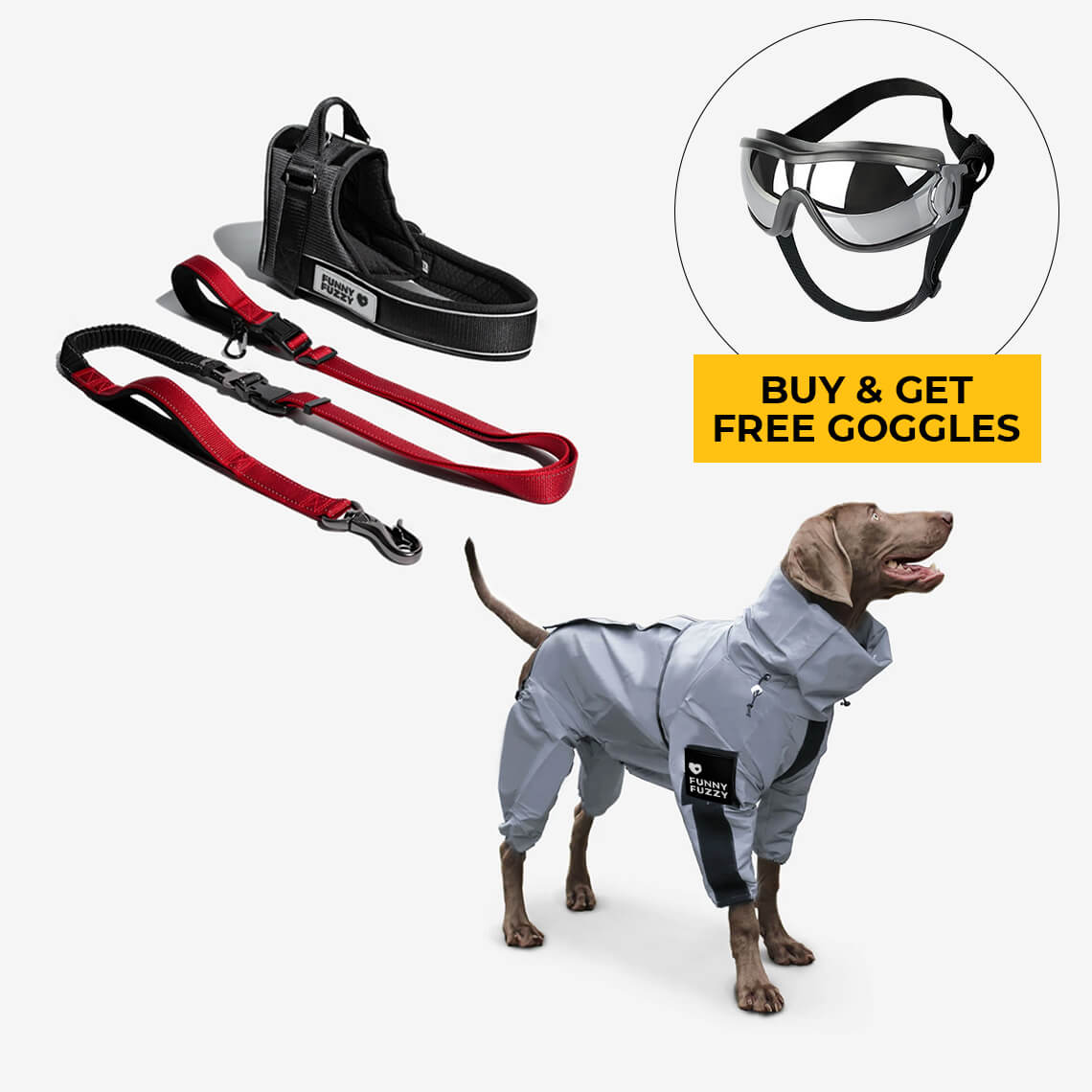 Swag & Safe Cooles Hundezubehör-Spaziergang-Set