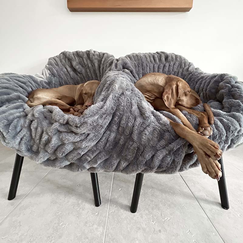 Couverture humaine de luxe en fausse fourrure et velours pour animaux de compagnie, super douce